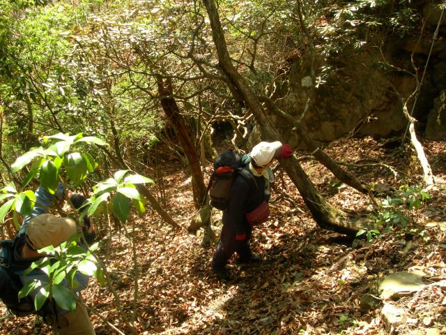 c0042869_1423298.jpg