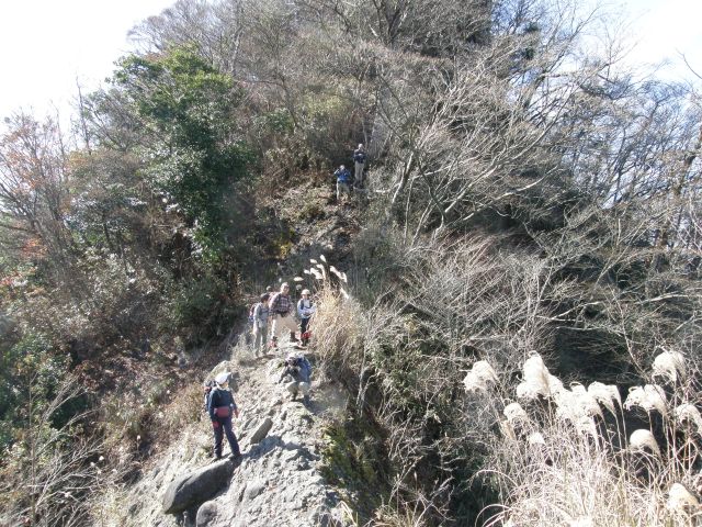 c0042869_14252259.jpg