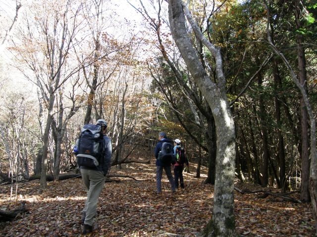 c0042869_1434386.jpg