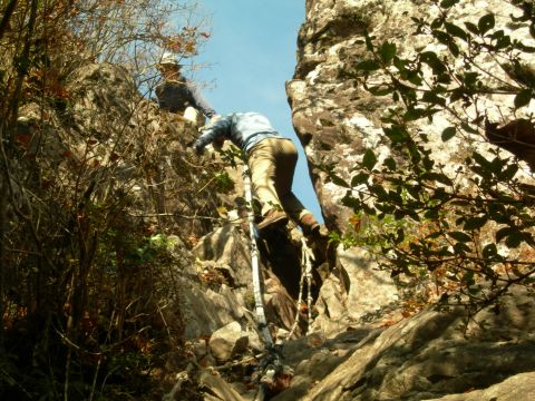 c0042869_14375713.jpg