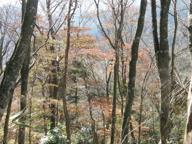c0042869_1440832.jpg