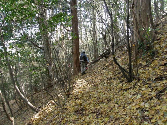 c0042869_14475748.jpg