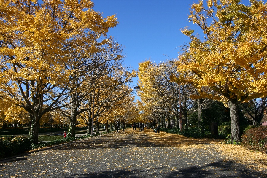 b0084270_3513127.jpg