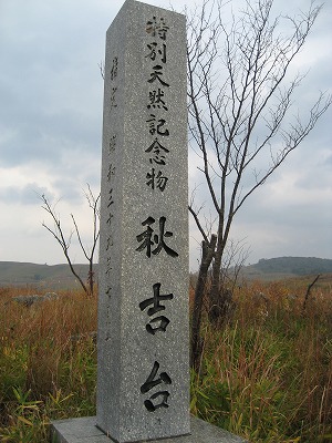 e0106372_13292629.jpg