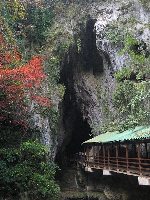e0106372_13293557.jpg