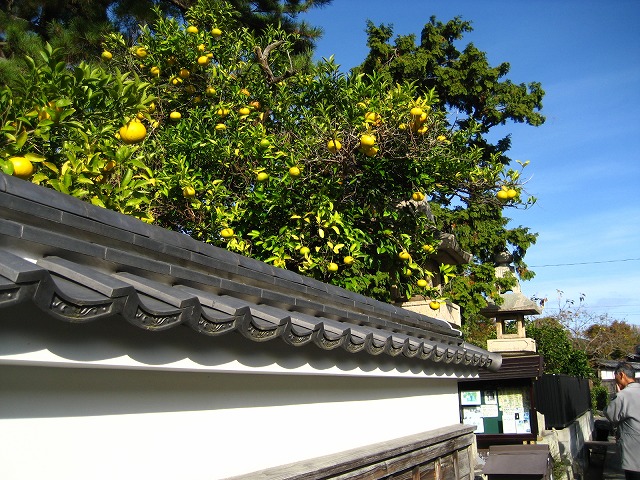 e0106372_133699.jpg