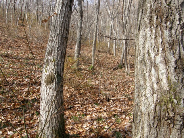 d0134473_18565290.jpg