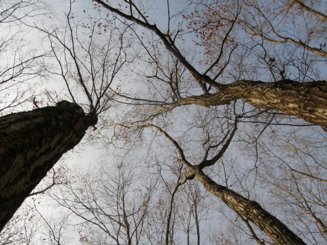 d0134473_1859449.jpg