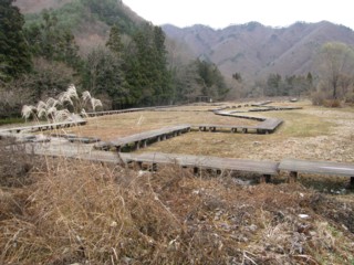 d0134473_1985852.jpg