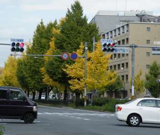 e0060374_2035512.jpg