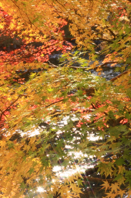c0148777_12502421.jpg