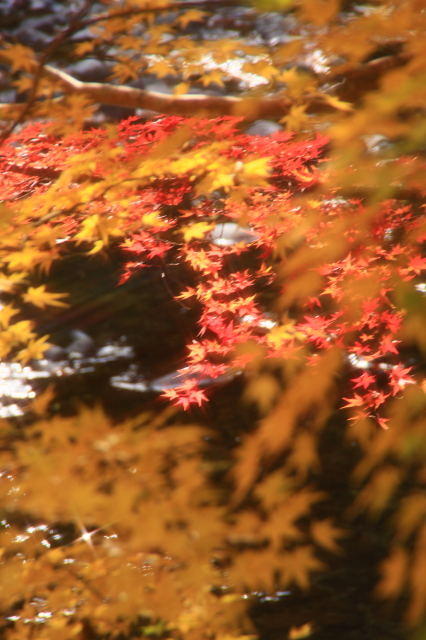c0148777_1331034.jpg