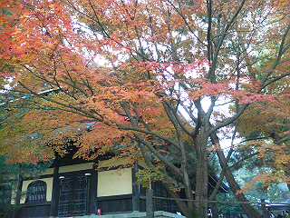 c0066080_17394322.jpg