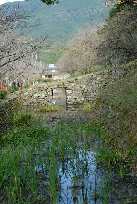 c0136480_2001779.jpg