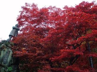 c0025481_0532148.jpg
