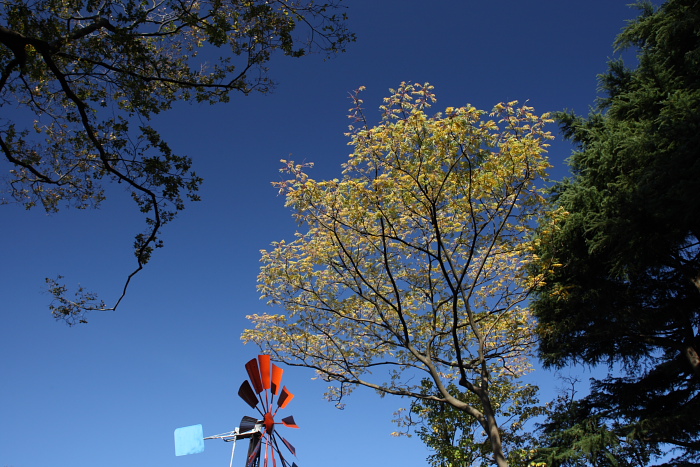 c0159490_8363541.jpg