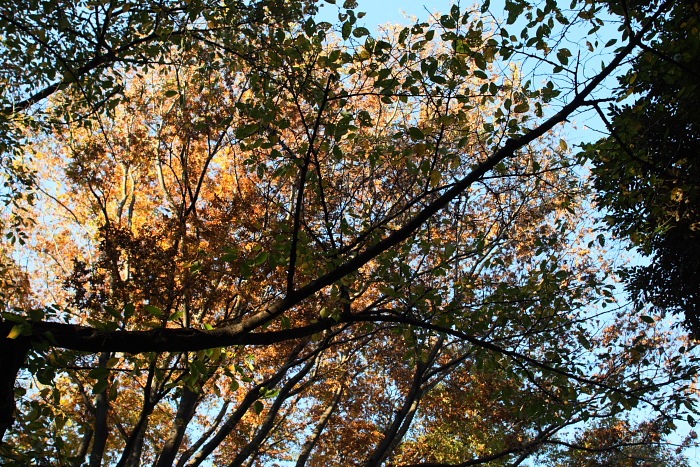 c0159490_9121095.jpg