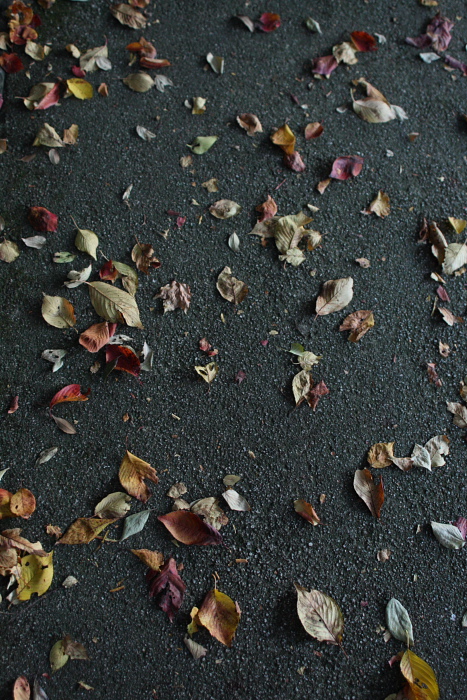 c0159490_9153172.jpg