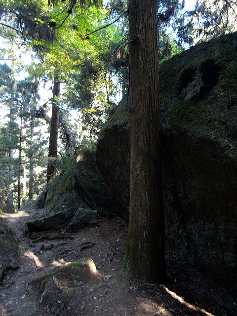 a0093592_2203329.jpg