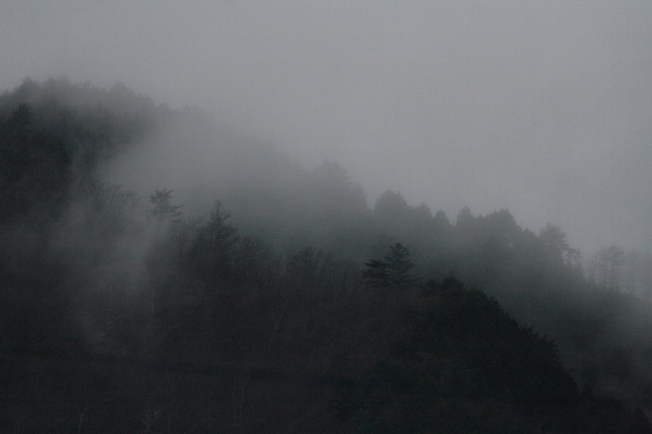 d0133693_5102480.jpg