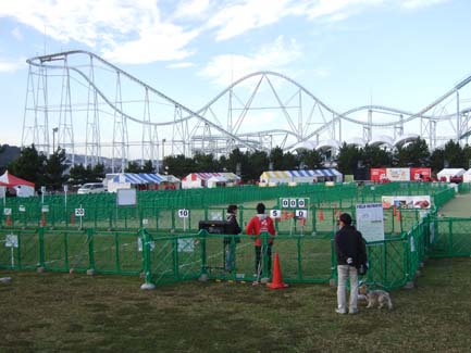 e0060693_1140882.jpg