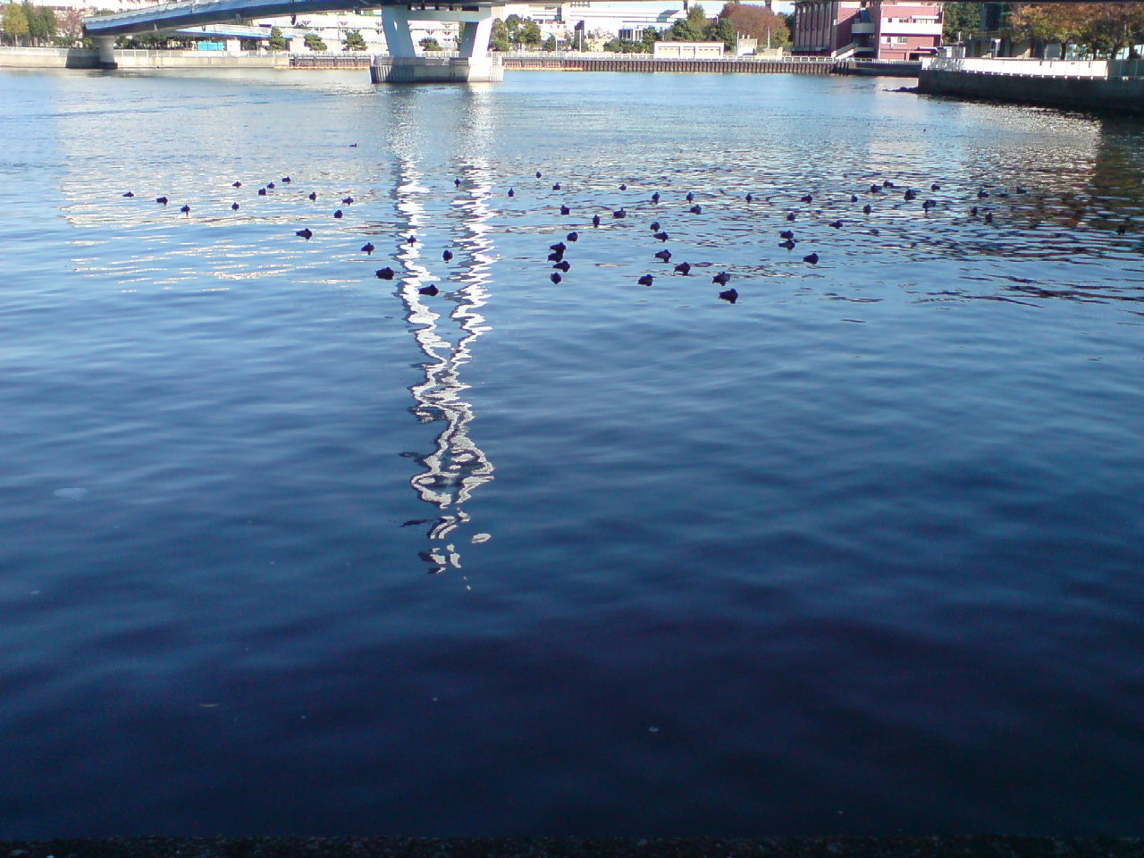 f0098094_23232624.jpg