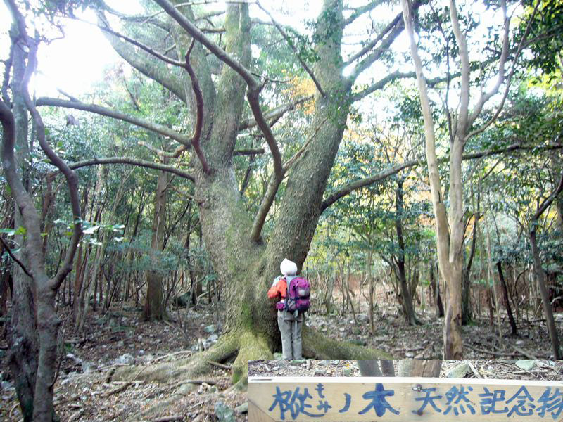 a0097298_10245228.jpg
