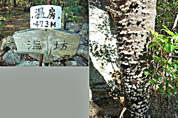 a0097298_1034511.jpg