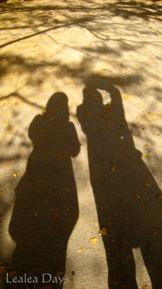 b0000801_10443246.jpg