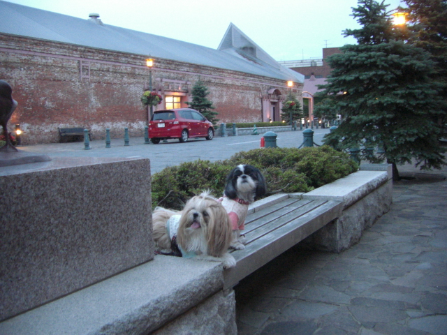 e0050801_2125155.jpg