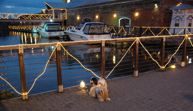 e0050801_285971.gif