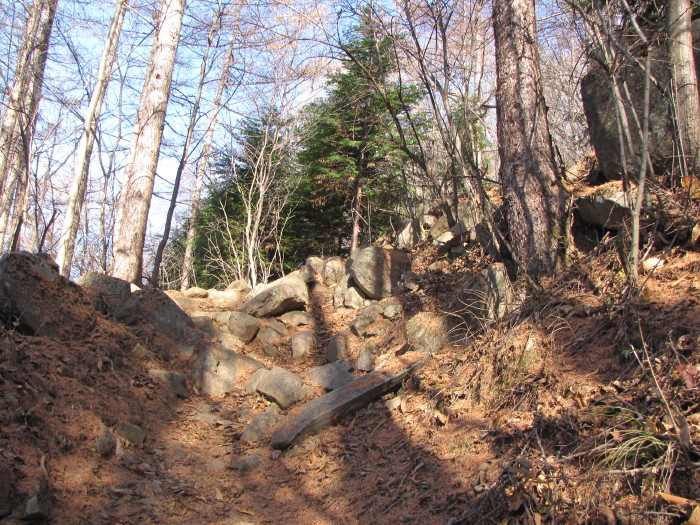 b0116703_0111567.jpg