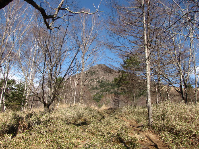 b0116703_0121937.jpg