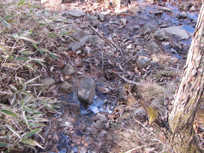 b0116703_012722.jpg