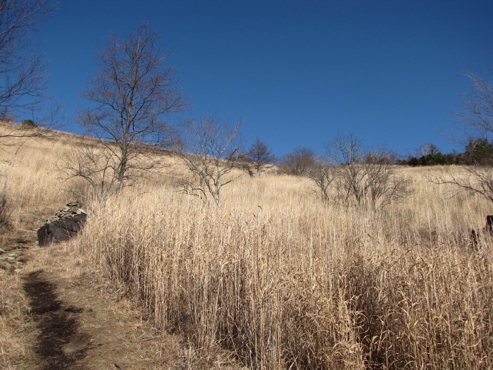 b0116703_013517.jpg