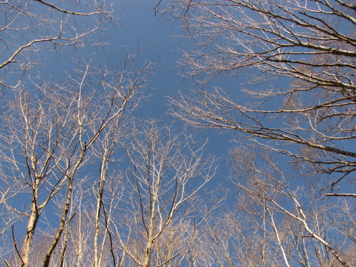 b0116703_013528.jpg