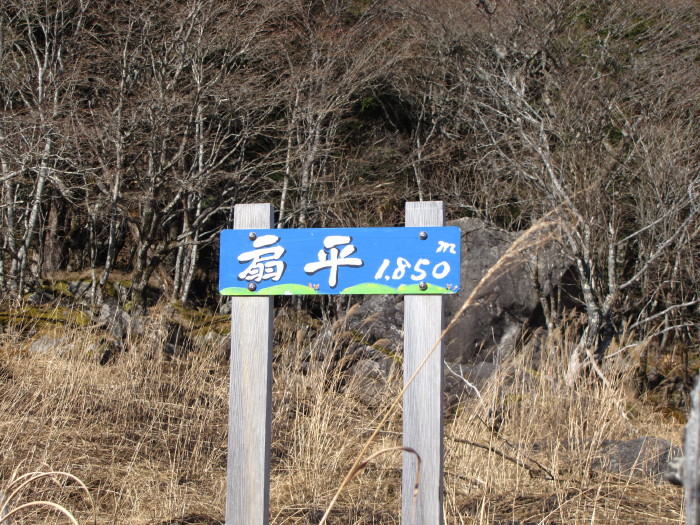 b0116703_0143276.jpg