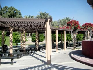 b0142203_3354569.jpg