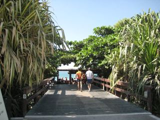 b0142203_3361772.jpg