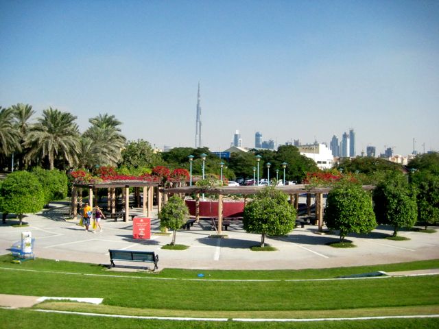 b0142203_3365566.jpg