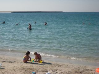 b0142203_340354.jpg
