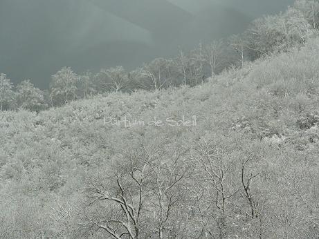 d0087503_22315130.jpg
