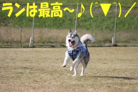 e0100007_22112146.jpg