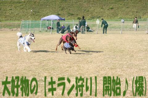 e0100007_22124453.jpg