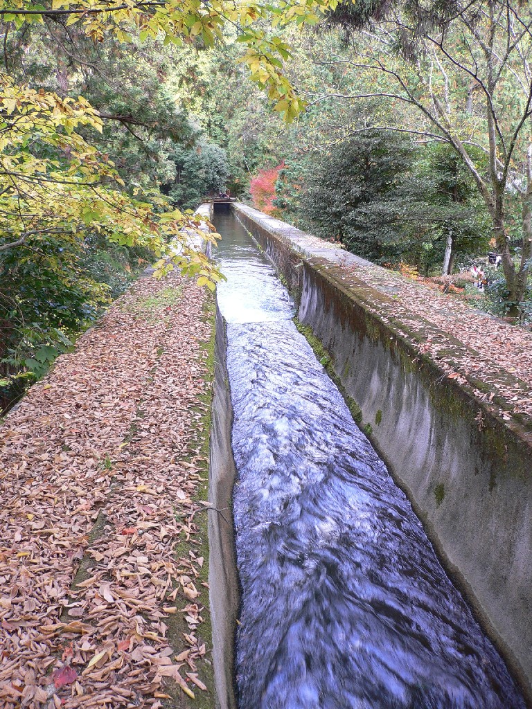 a0105809_17311886.jpg