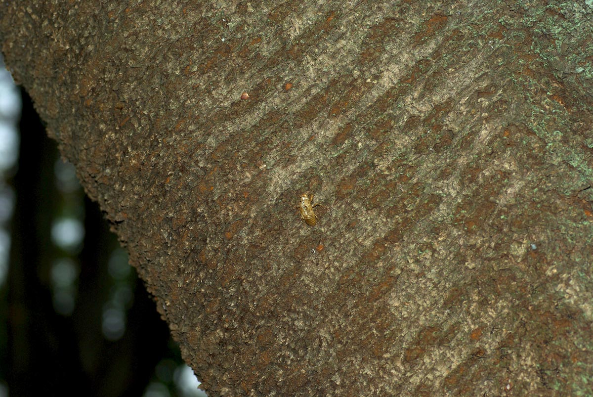 e0142611_20251055.jpg