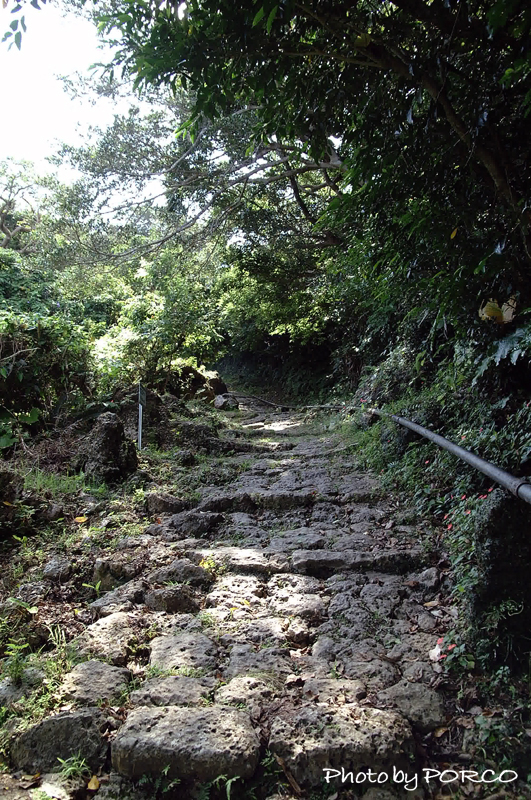 b0106816_014449.jpg