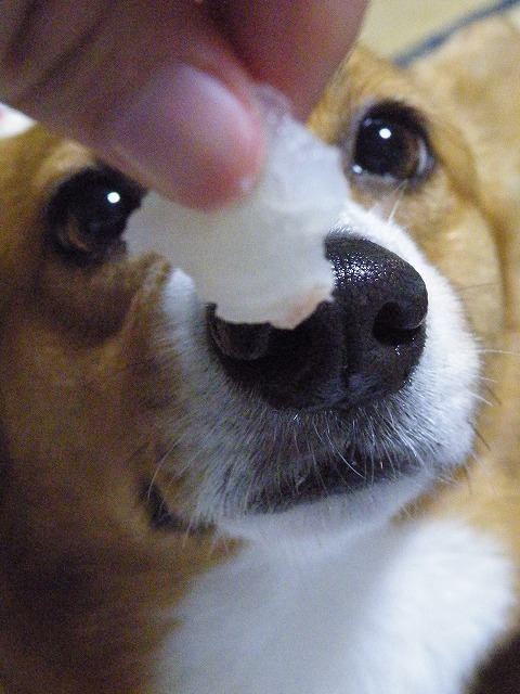 c0127617_14375346.jpg