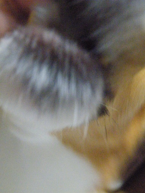 c0127617_14381875.jpg