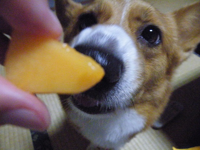 c0127617_14391619.jpg